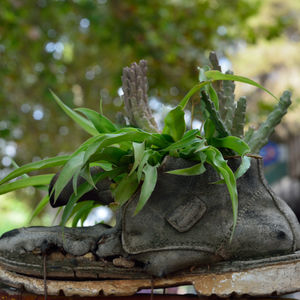 Dialogue avec Roland Barthes