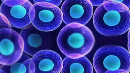 O que são células tronco?