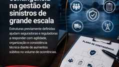 Planos de contingência na gestão de sinistros de grande escala
