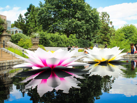 Atlanta Botanical Garden
