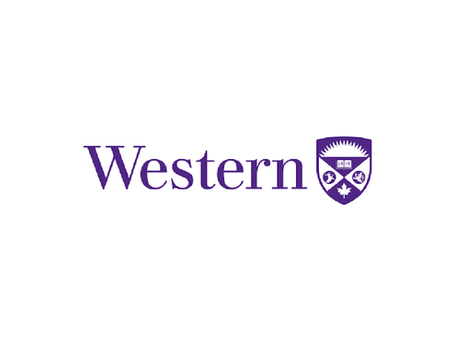 Dean, Faculty of Information & Media Studies  