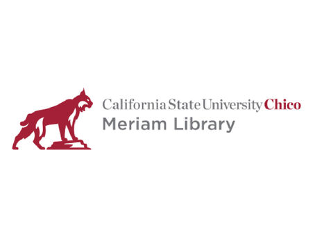 Senior Assistant Tenure-Track Librarian for the College of Engineering and Library Makerspace