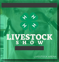 4-H Livestock Show_edited.jpg