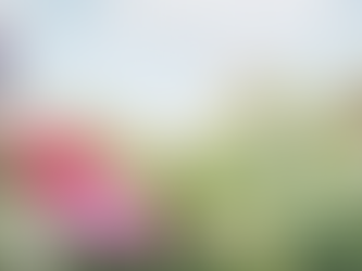 April 2023 Homeward Bound Newsletter