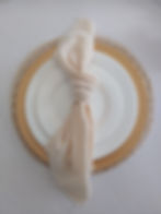 Neutral Cheesecloth Napkins