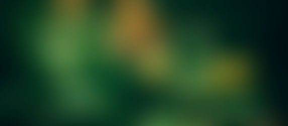 VISION OF BUTTERFLIES