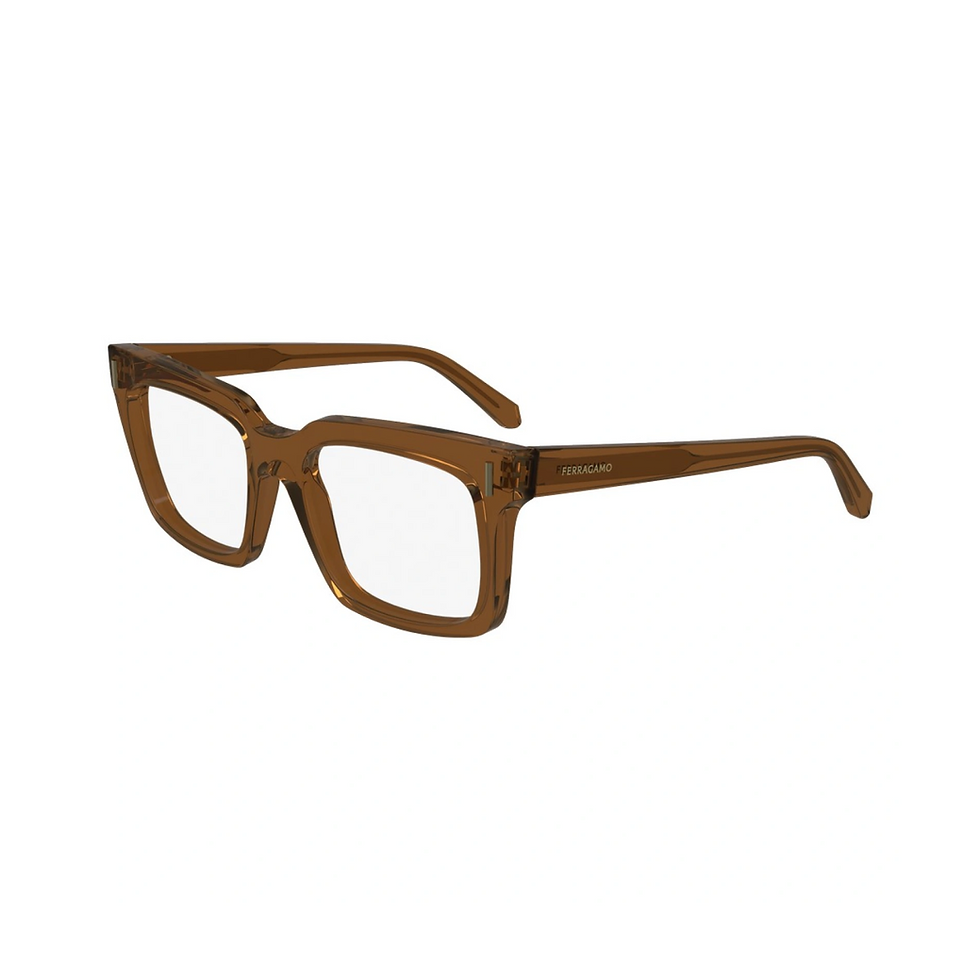 Óculos Masculino Ferragamo SF2993 232