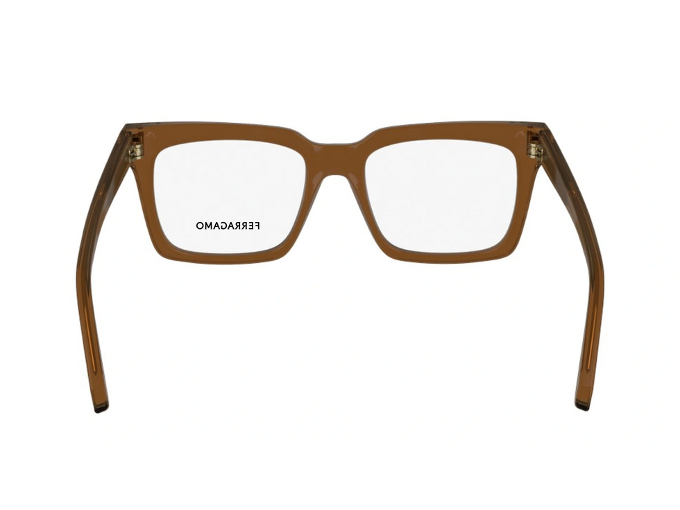 Óculos Masculino Ferragamo SF2993 232