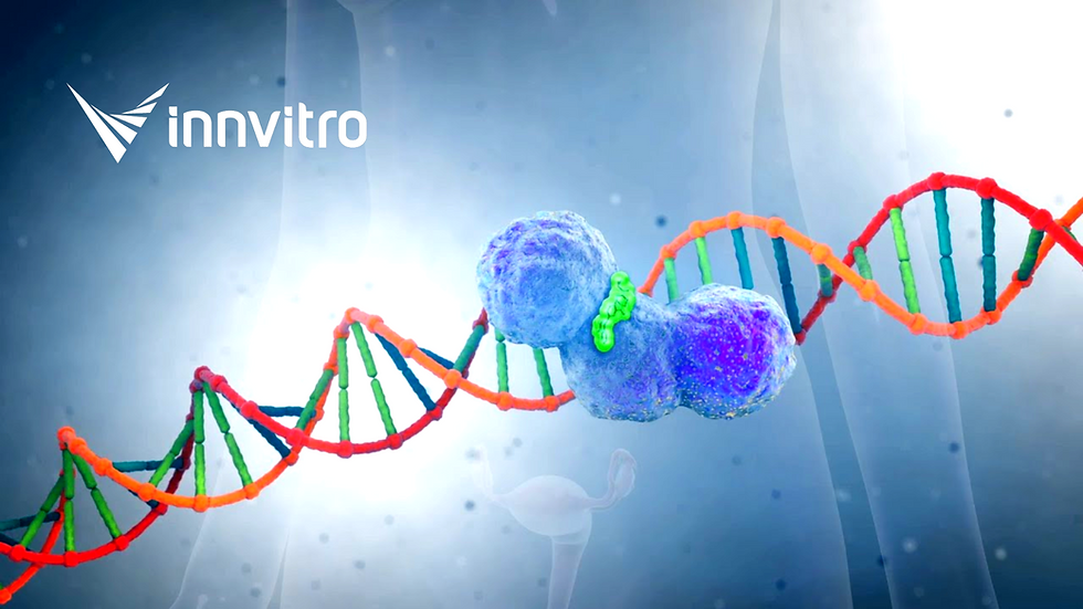 DDR - Inibidores de Danos do DNA