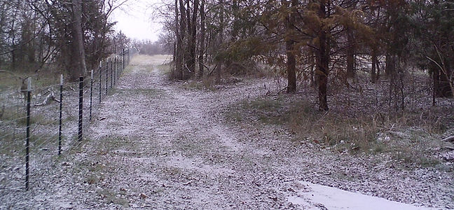 Snow north fence jan 14 2024_edited.jpg