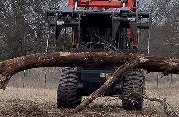 More tree removal work.