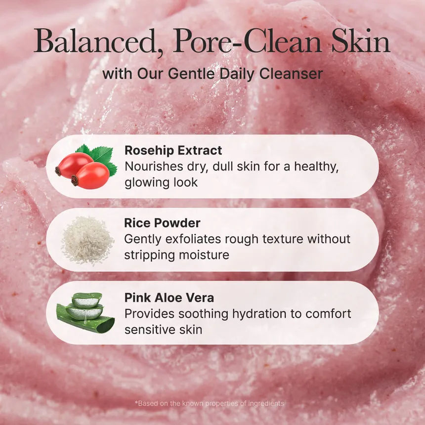 Thumbnail: Arencia Fresh Rosehip Rice Mochi Cleanser (120g)