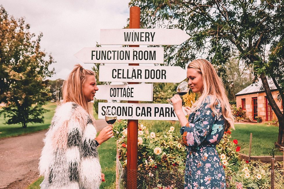 Girls wine tasting at a winery