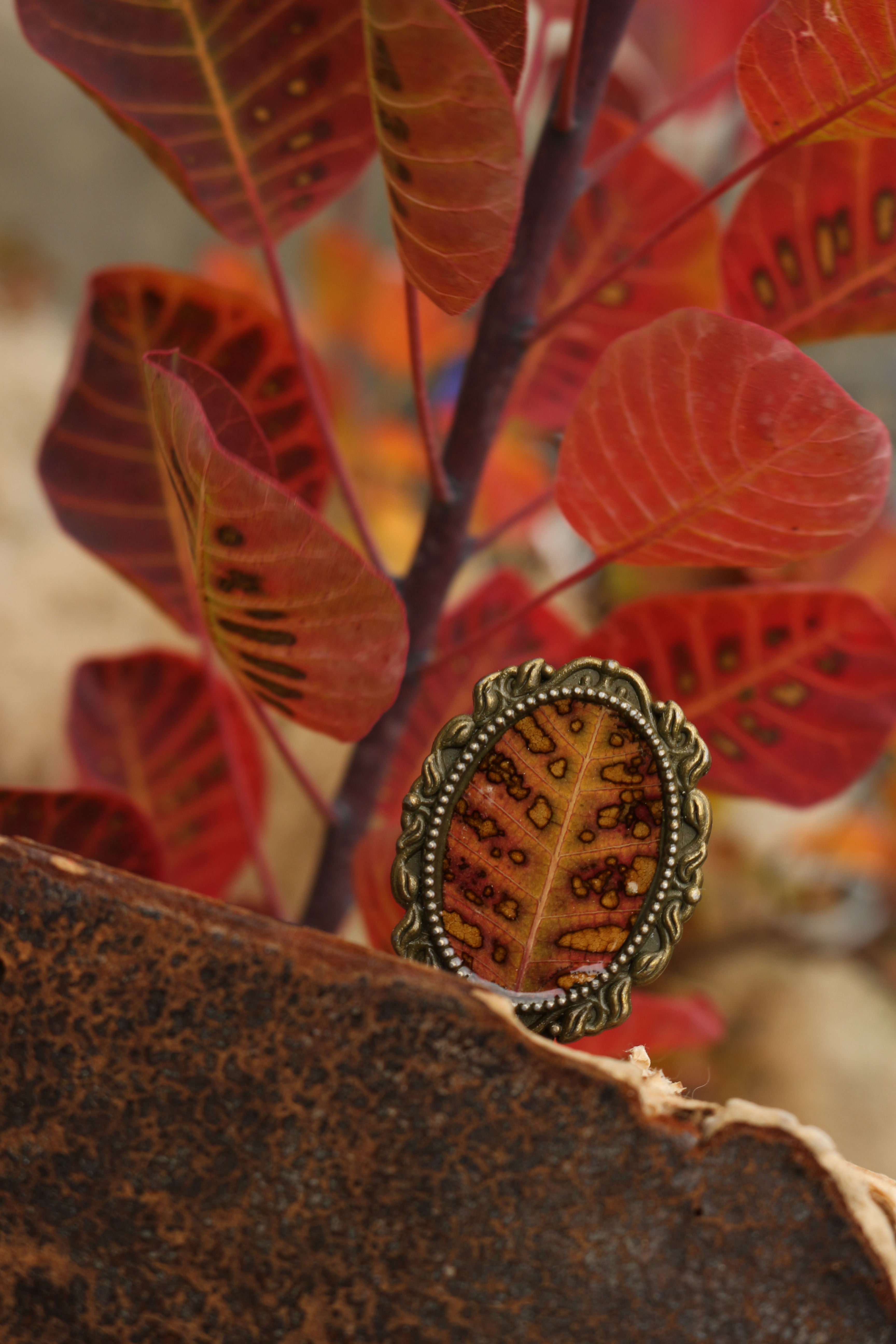 Marque page arbre à perruque