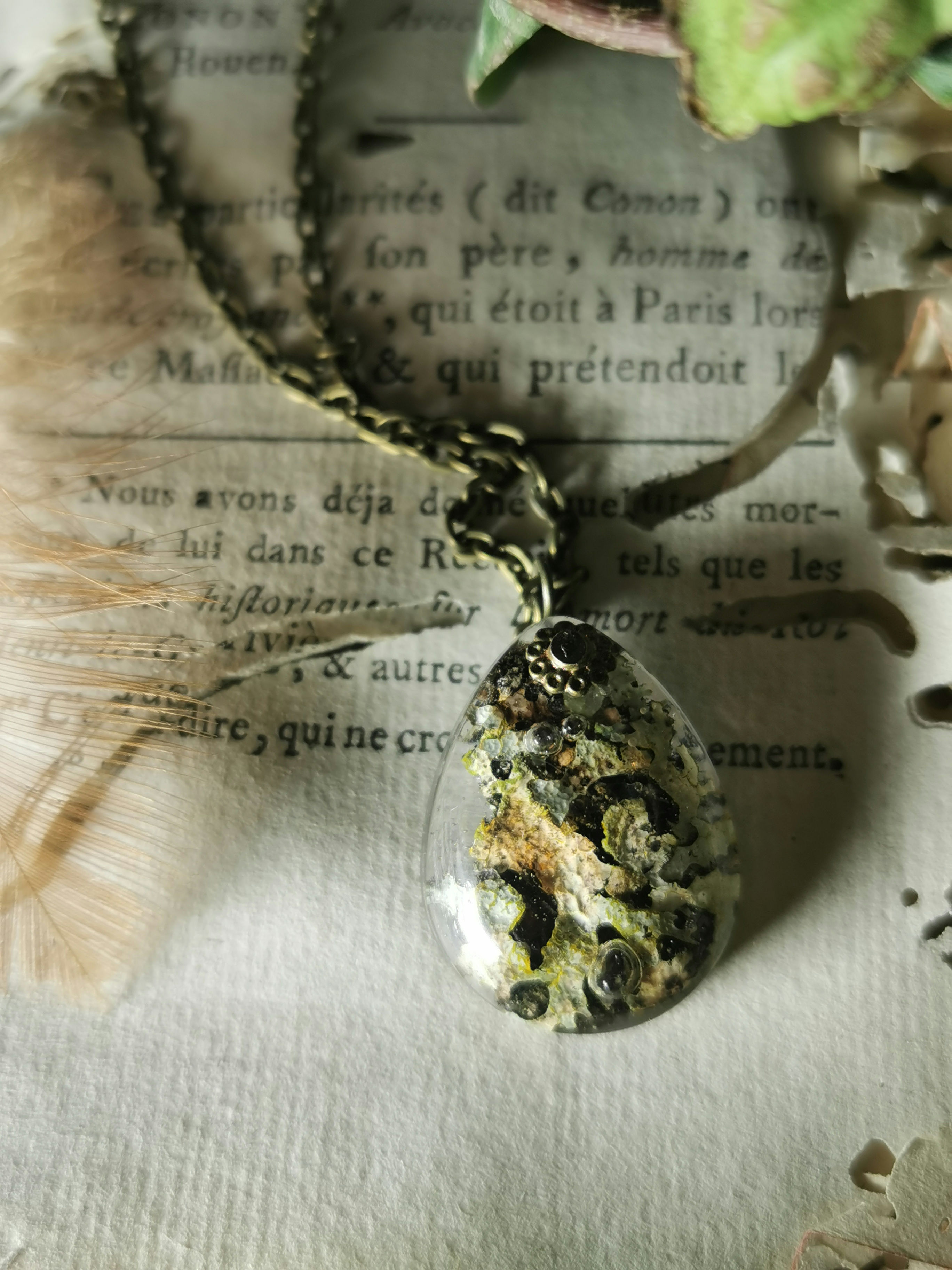 Le lichen comme une agathe mousse