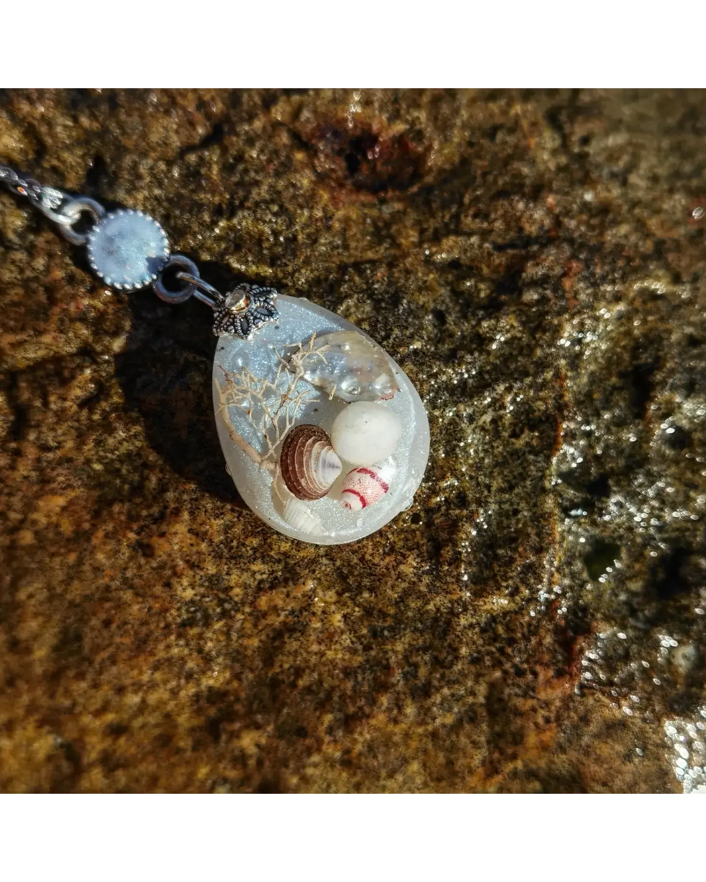 Seamemories 🐚