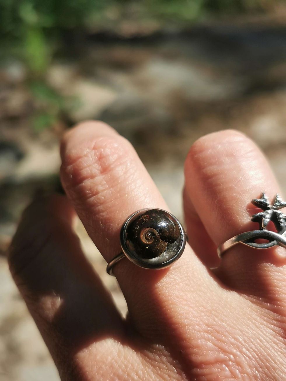 Miniature : L'ammonite