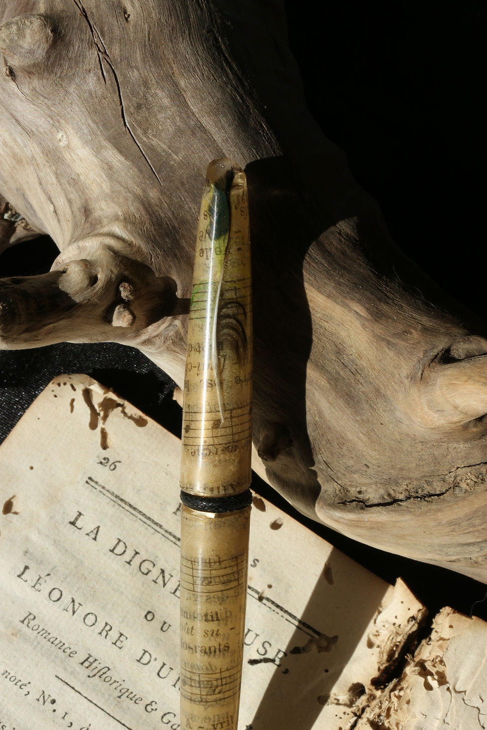 Miniature : Plume de musique 