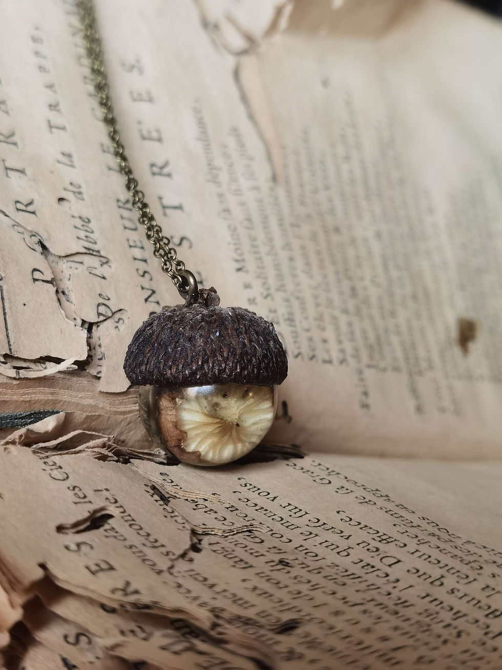 Miniature : Glandignon  chapeau de champi 🍄