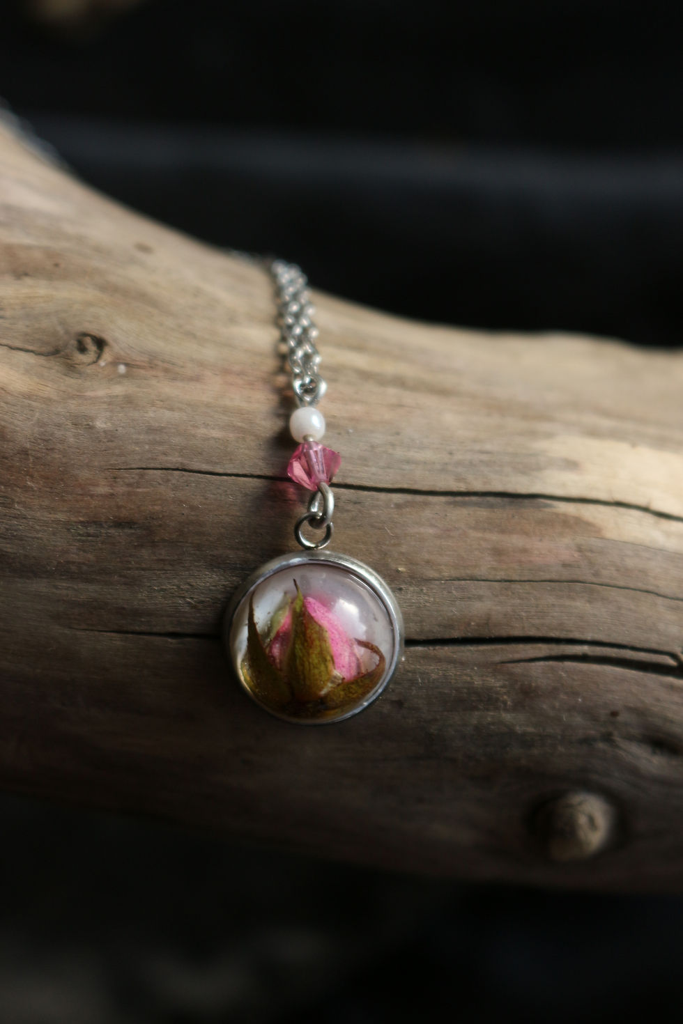 Miniature : Petite rose