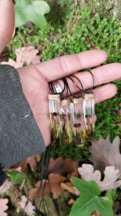 Les cristaux de forêt 🧚‍♂️✨