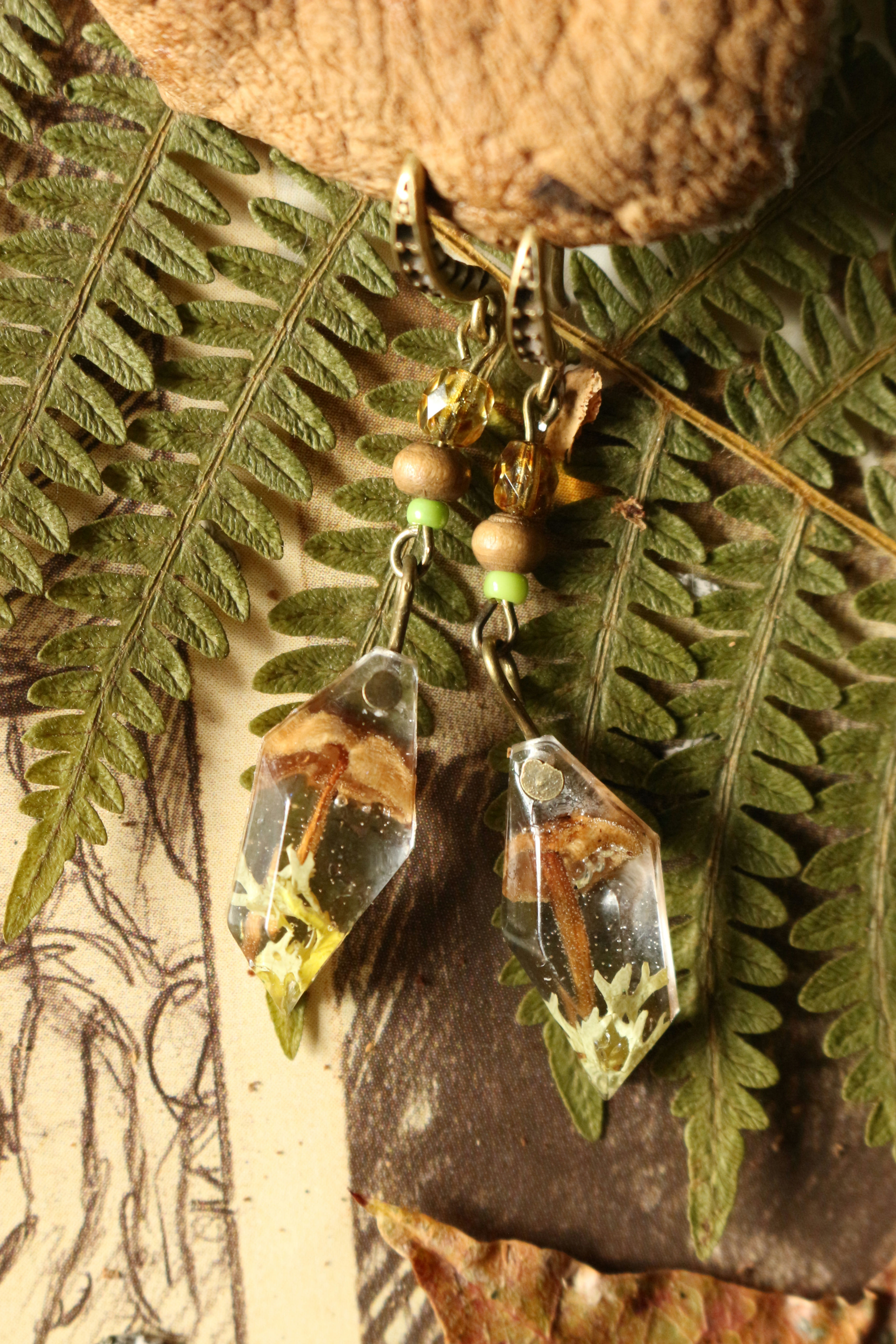 Boucle des bois 🍄