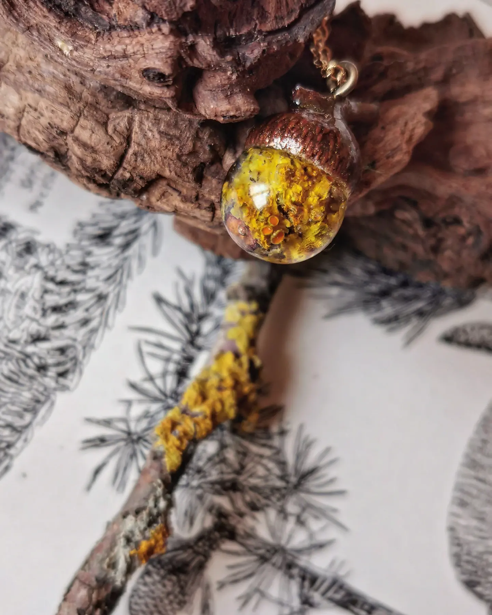 Miniature : Le glandichen 🧡