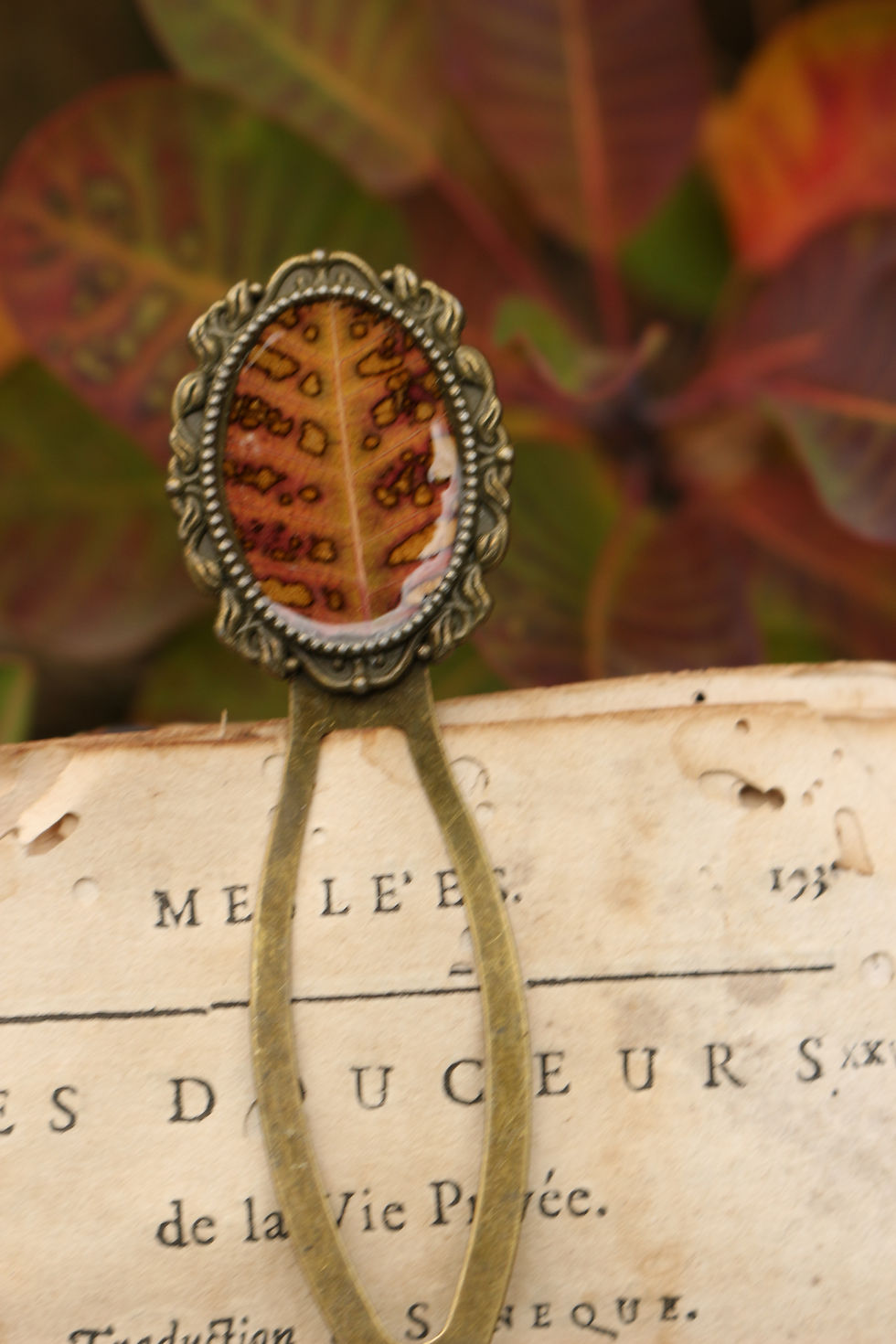 Miniature : Marque page arbre à perruque