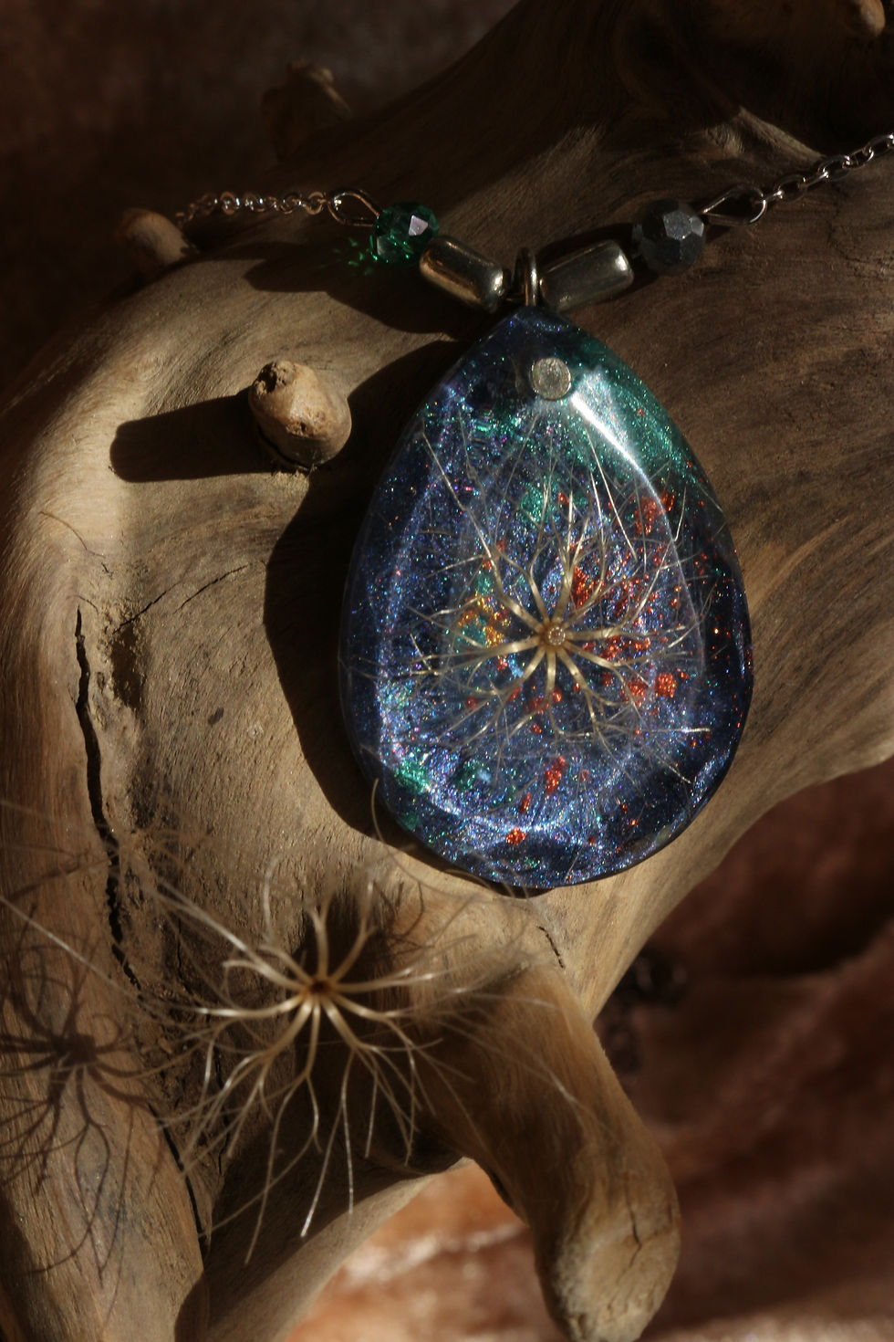 Miniature : Carline cosmique 