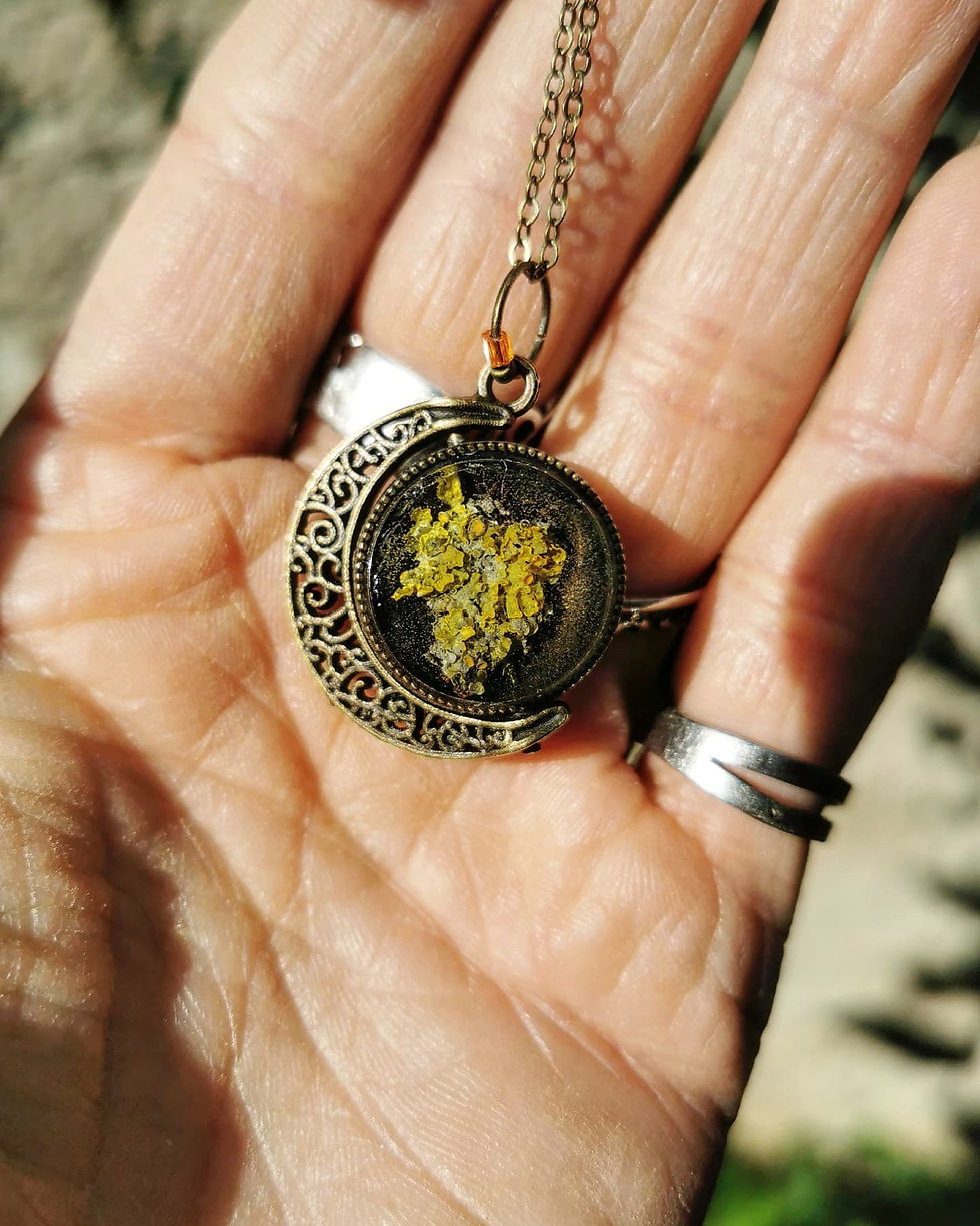 Miniature : ℓє яє¢тσ νєяѕσ 🧡💚