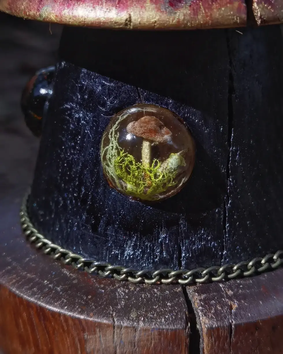 Miniature : Gaïa les 4 éléments 🌱🔥🌀💧