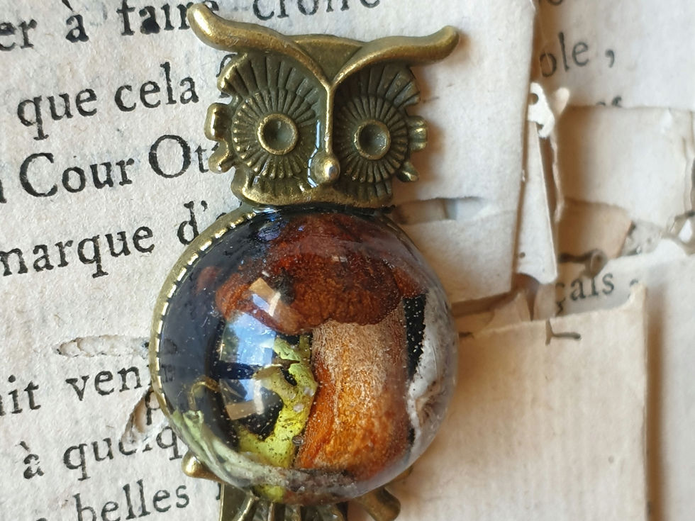 Miniature : Marque page du champsaur 
