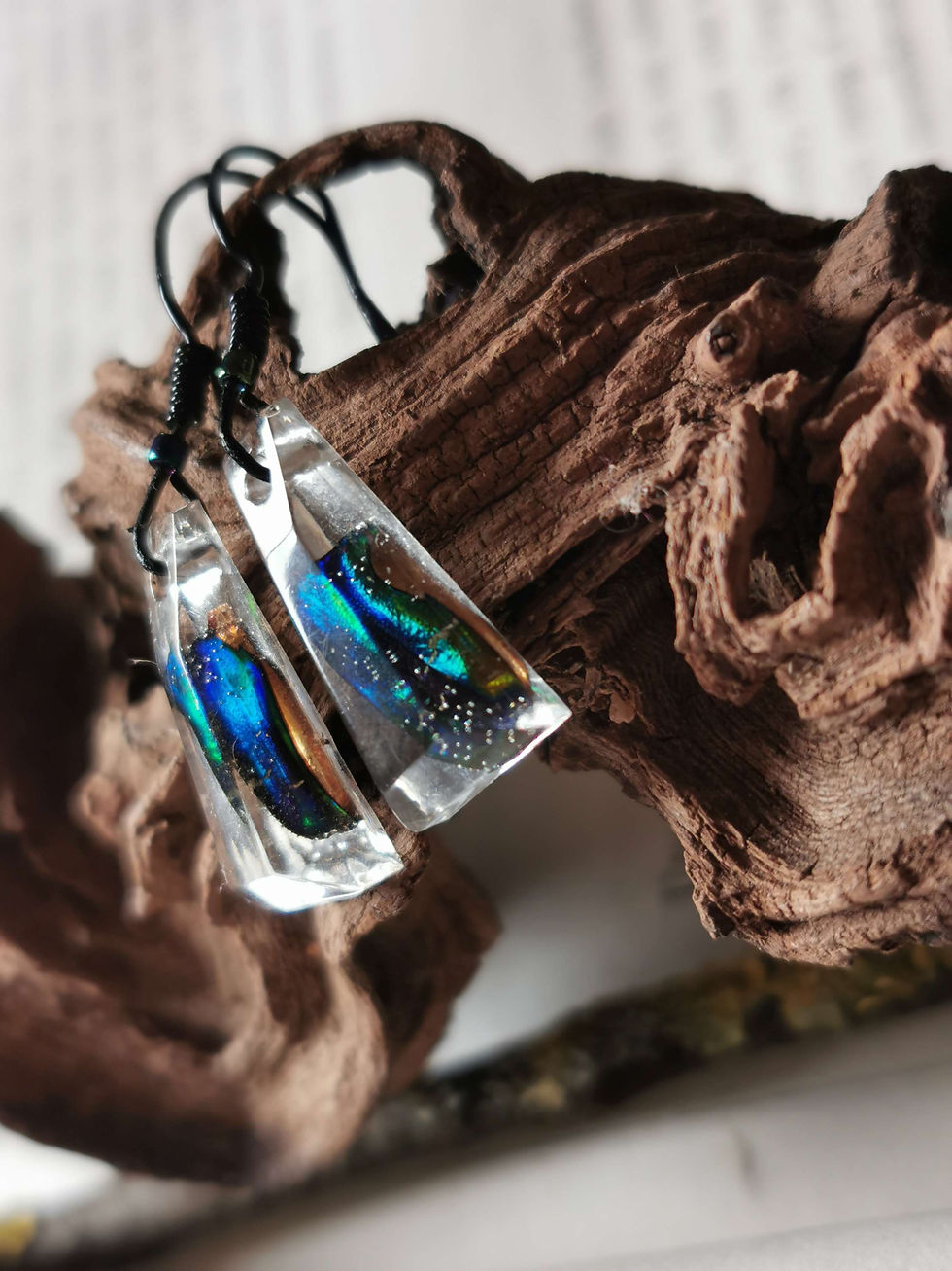 Miniature : Cétoine dorée 💚 💙 