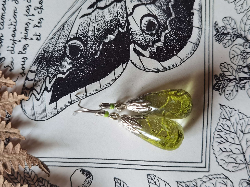 Miniature : Les gouttes de lichens 