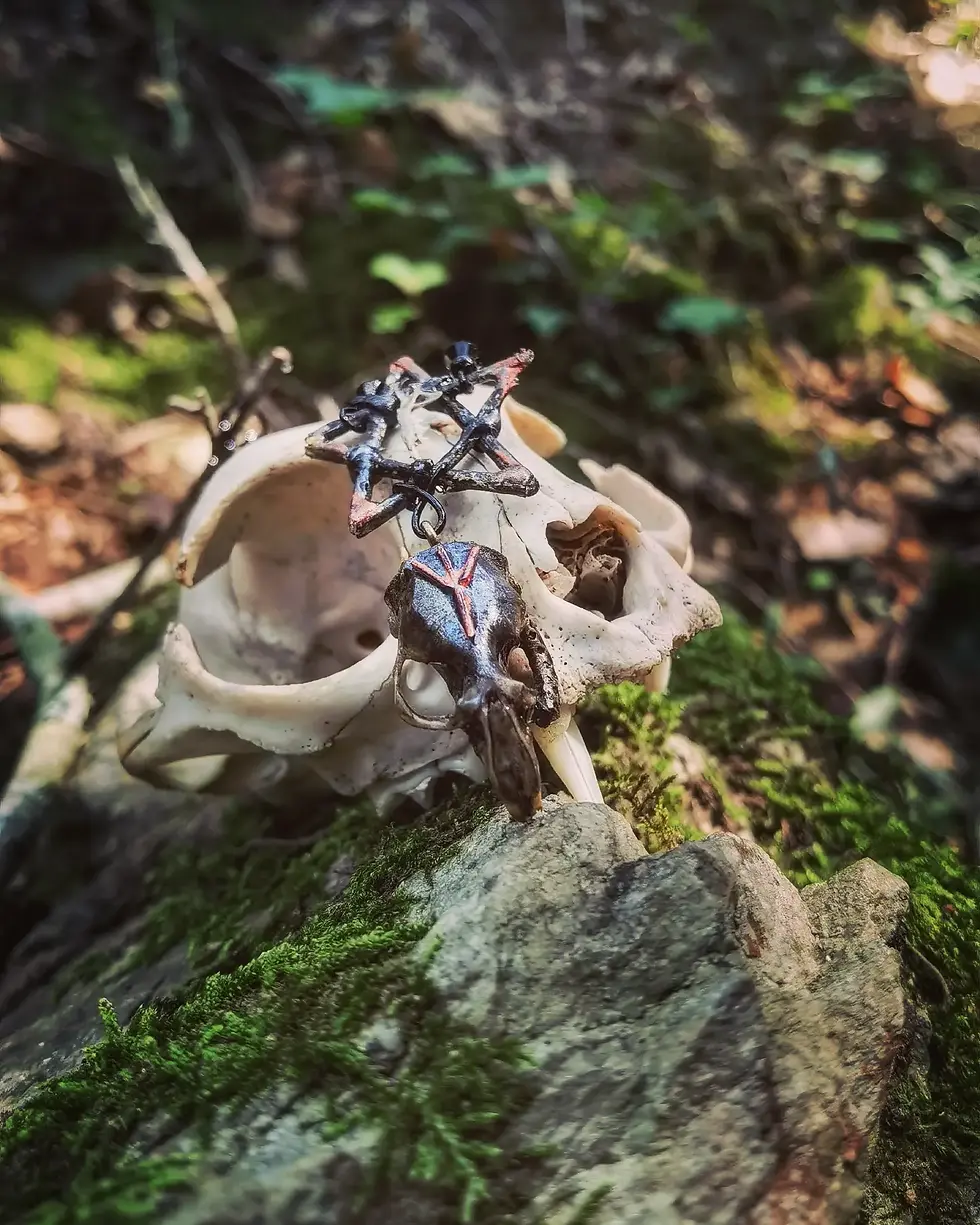 Miniature : Elhaz 🖤☠️