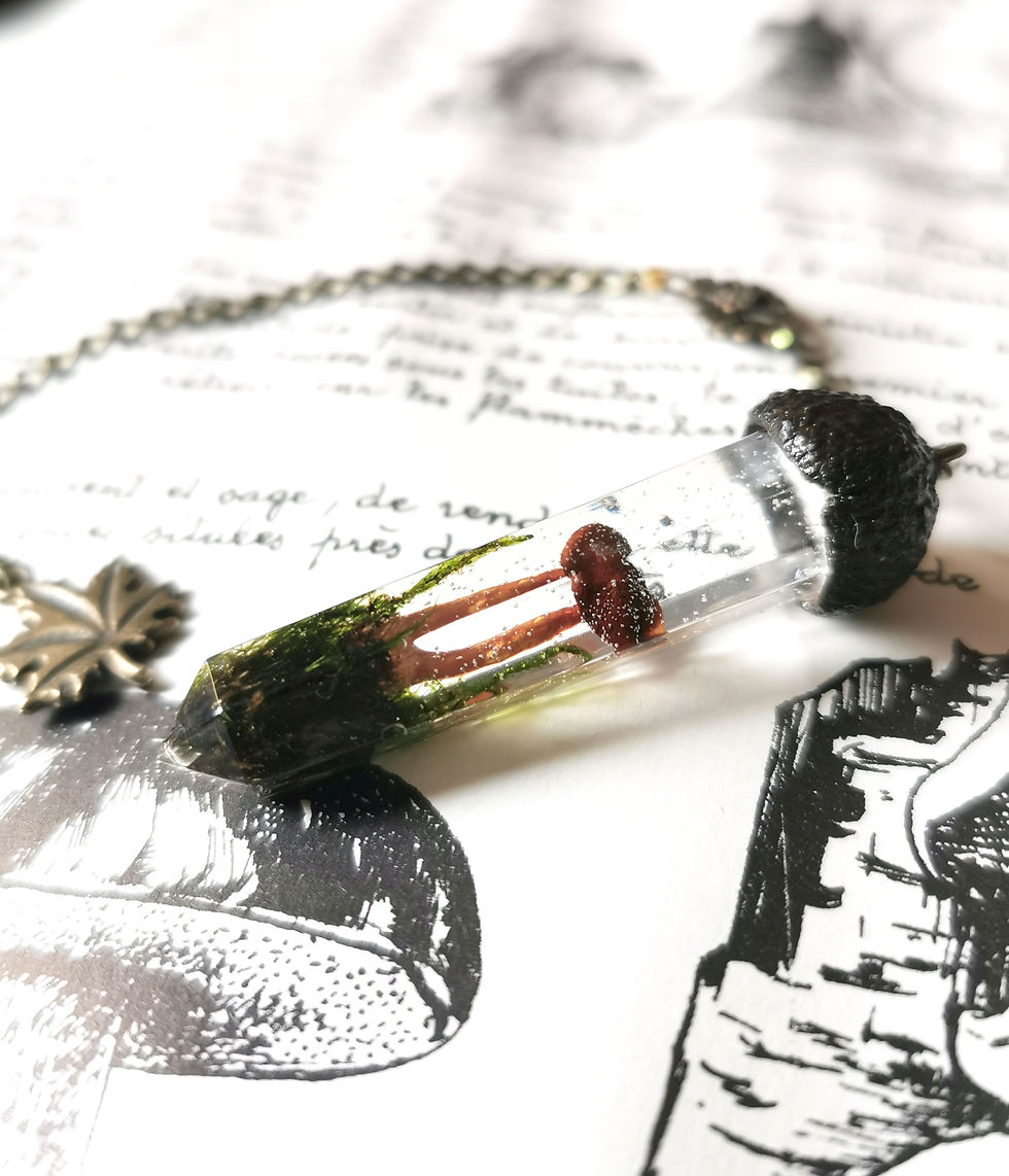 Miniature : 𝕻𝖊𝖓𝖉𝖚𝖑𝖊 𝖊𝖘𝖕𝖗𝖎𝖙 𝖉𝖊 𝖑𝖆 𝖋𝖔𝖗𝖊̂𝖙 🌱