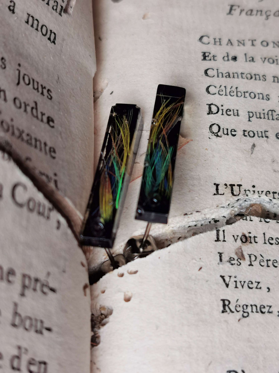 Miniature : Les plumes d'artifices 