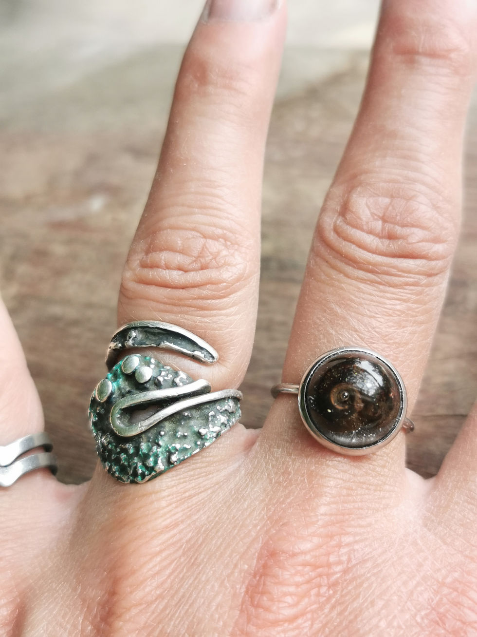 Miniature : L'ammonite