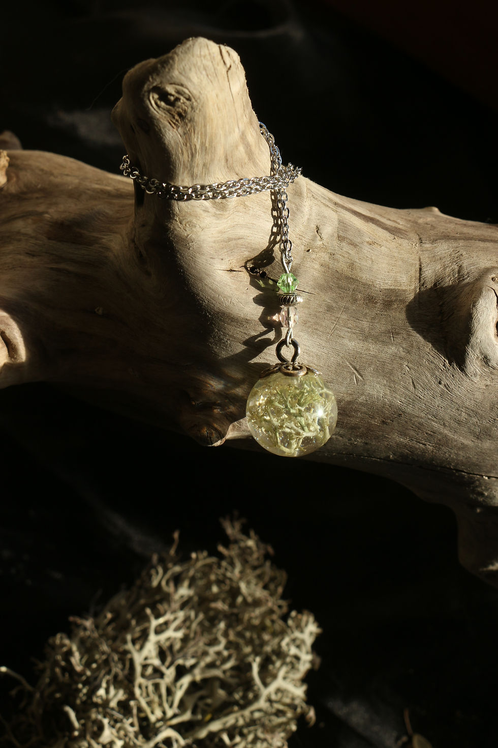 Miniature : lichen