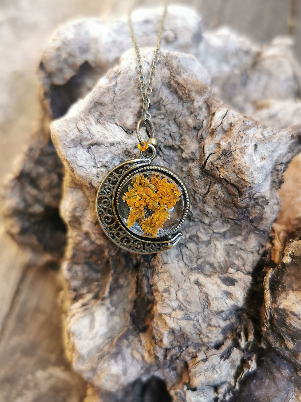 Miniature : ℓє яє¢тσ νєяѕσ 🧡💚