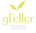 gfeller.bmp