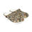 Thumbnail: CAMO CROCS