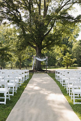 20250816_214011960_iOS 1.jpg