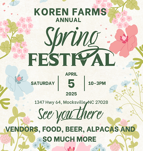 Spring Festival 2025 at Koren Farms