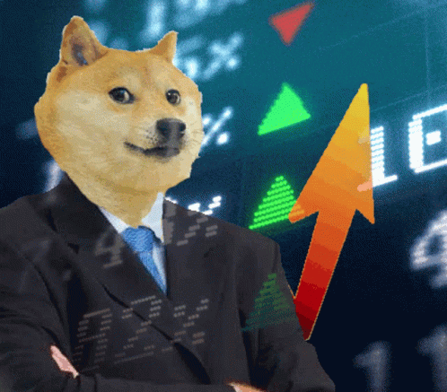 dogecoin gif