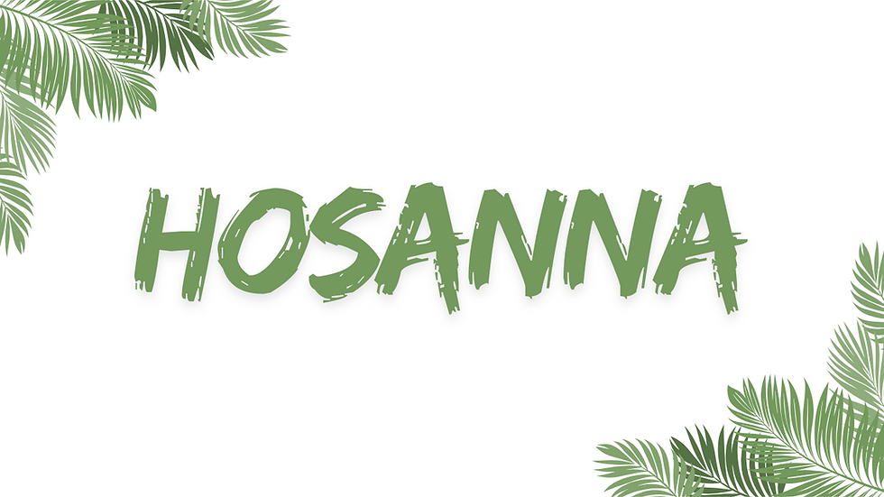 Devotional: Palm Sunday