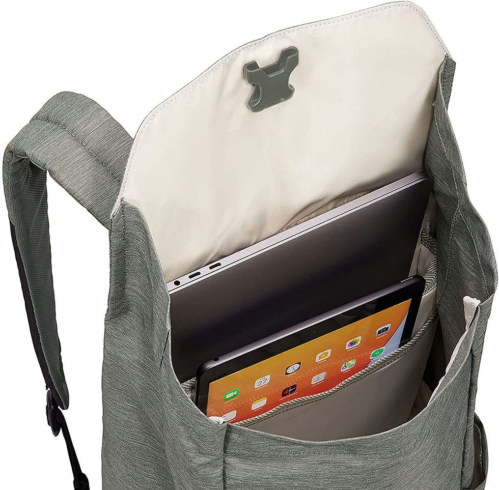 الصورة المصغرة: Thule Lithos Backpack 16L