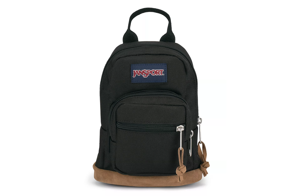 縮圖：Jansport Right Pack Mini