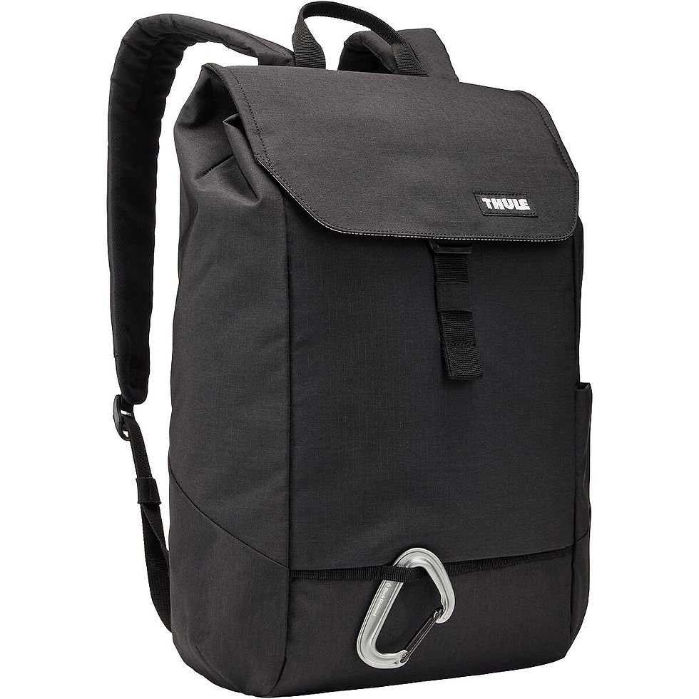 الصورة المصغرة: Thule Lithos Backpack 16L