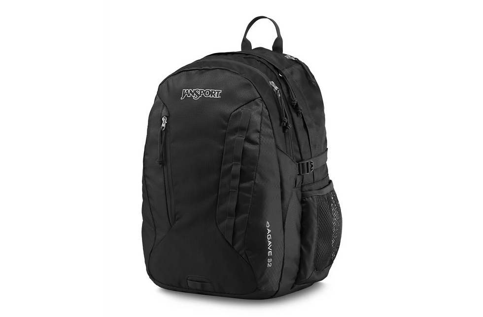 Thumbnail: JanSport Agave Backpack